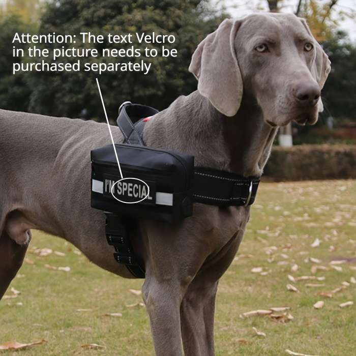 1pc Blacksize One size Pet Bag