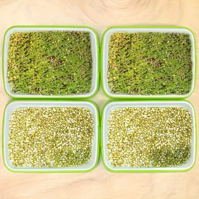2-Piece Rapid Seed Germination Kit