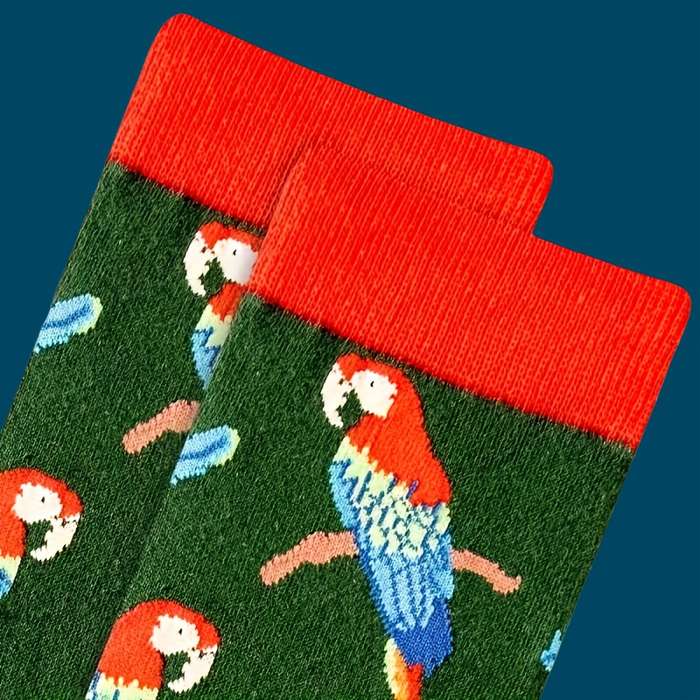 1 Pair Parrot  One Size Socks