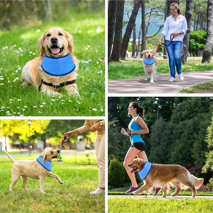 1piece Blue Cooling Pad Size L