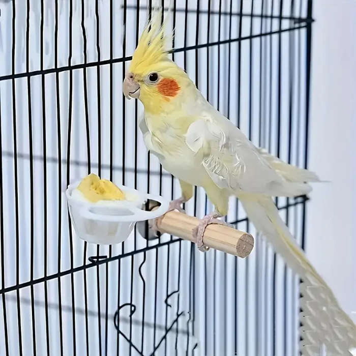 Bird Feeder