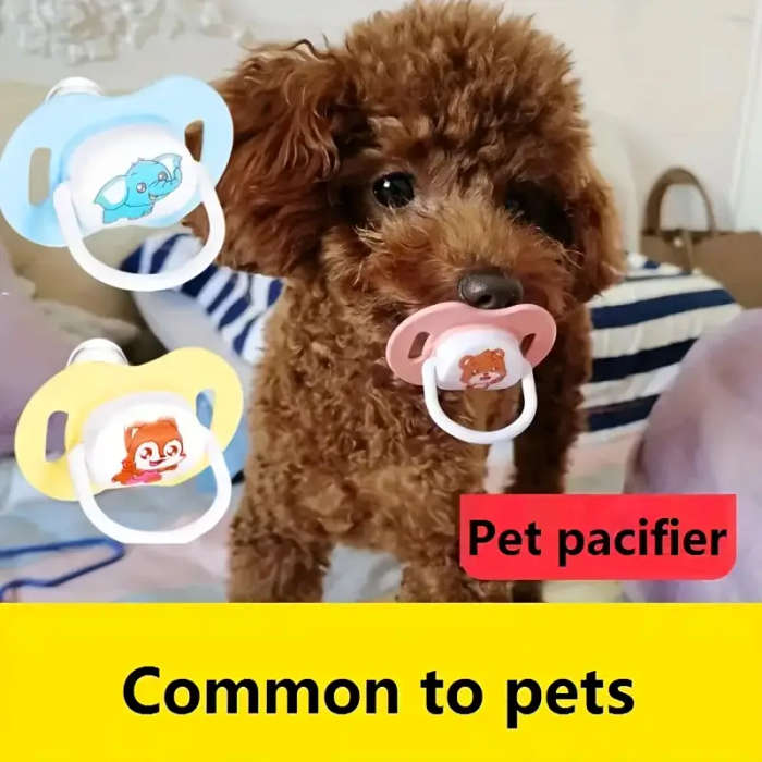 Dog Chew Toys