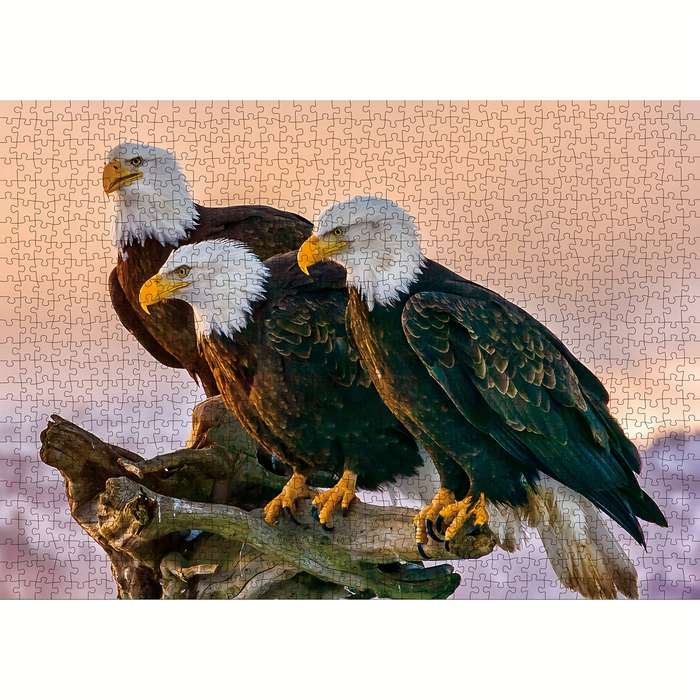 1000 Piece Mini Paper Jigsaw Puzzle