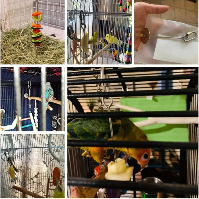 Small Bird Feeder