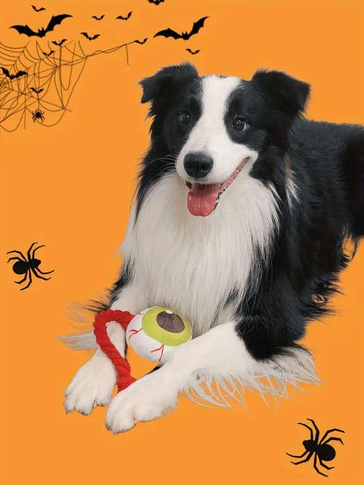 Dog Chew Toys