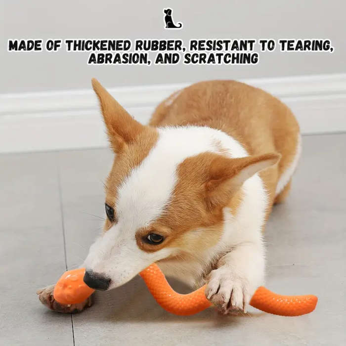 Dog Educational Toys