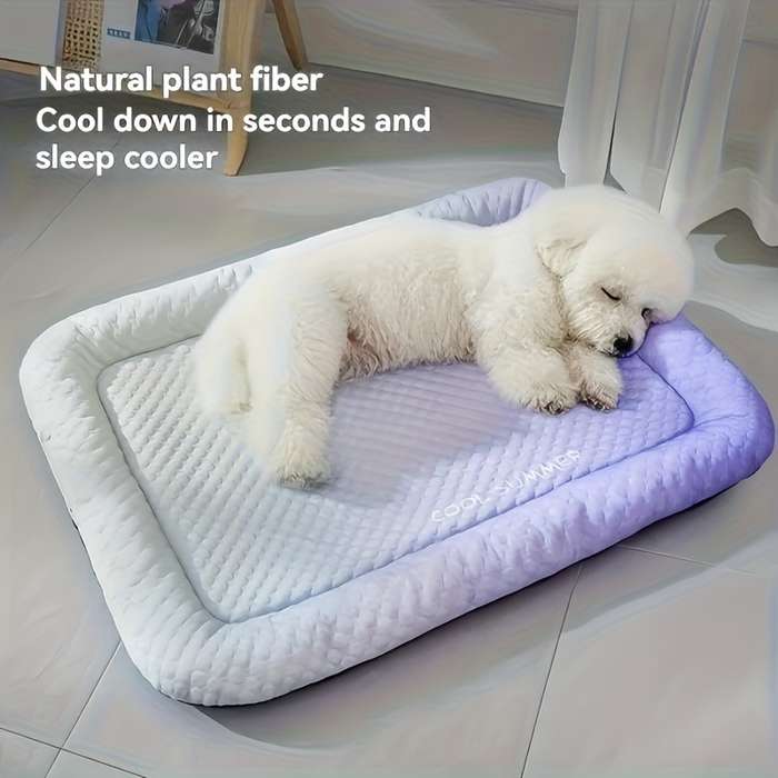 1PC Pet Mat Gradient Purple   Size M