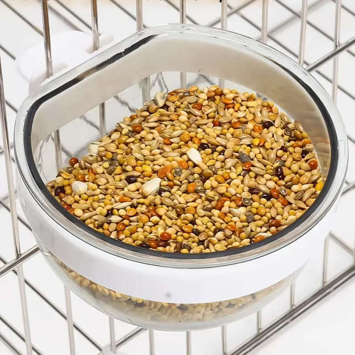 Bird Feeder