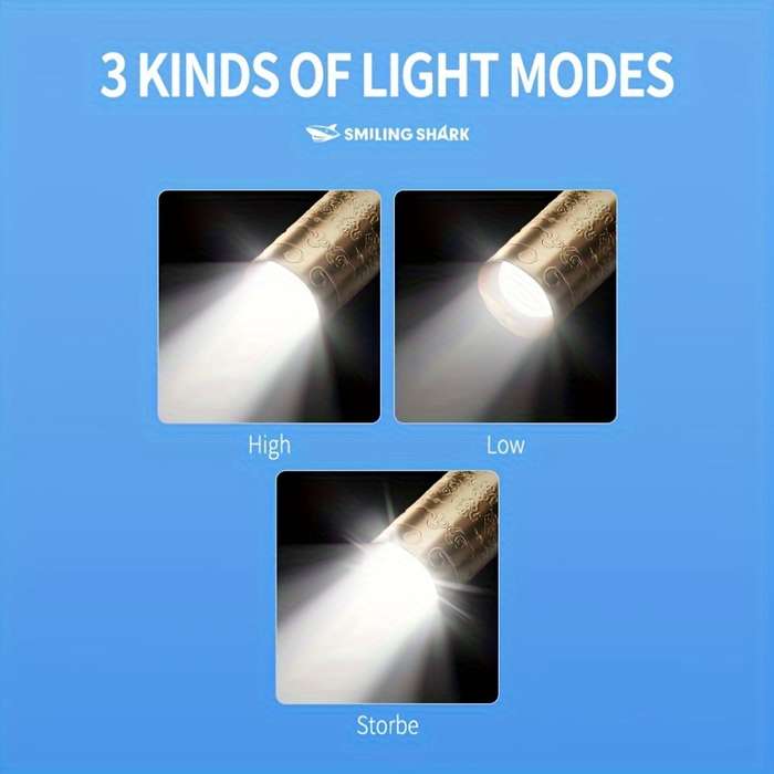 1PC E656 Flashlight