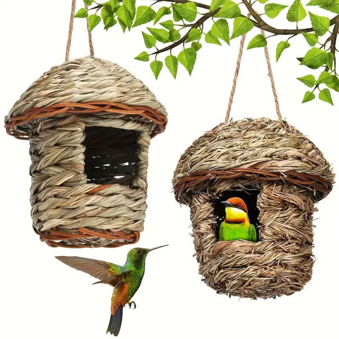 Small Bird Feeder