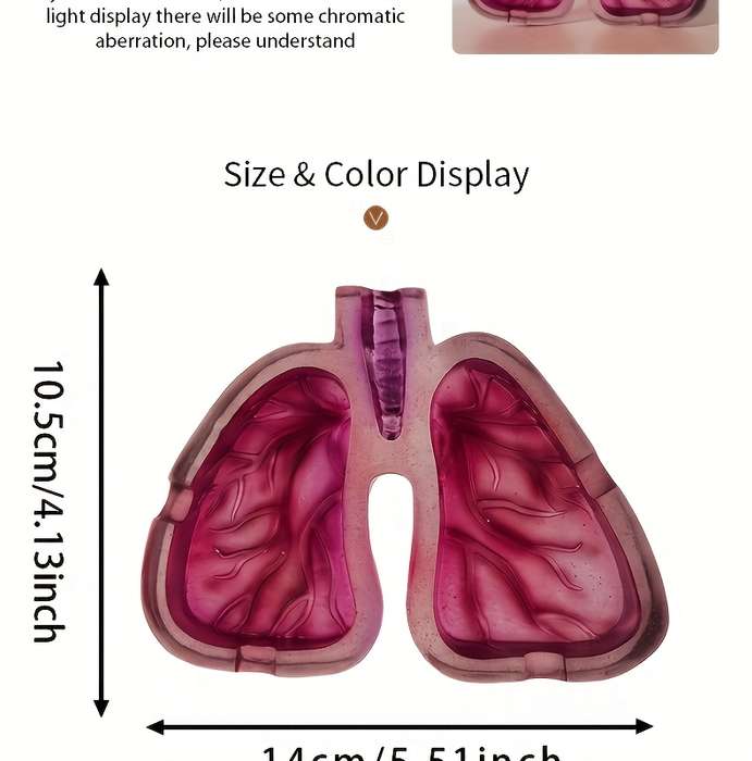 1pc Artistic Resin Ashtray with Lung Design Creative Home Office Decor Gift Unique Smoking