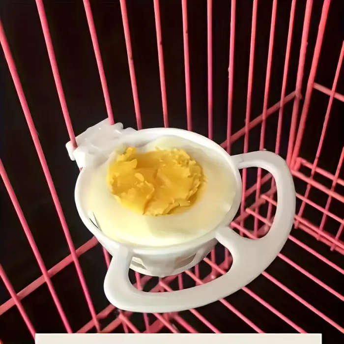 Bird Feeder