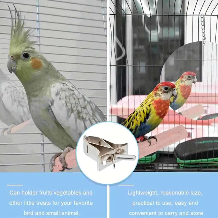 Small Bird Feeder