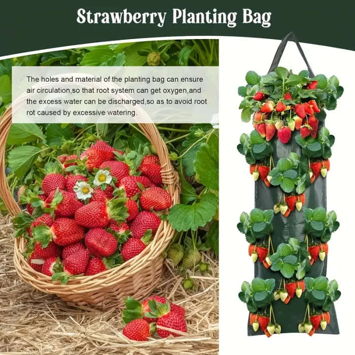 8Hole Hanging Strawberry Planting Bag