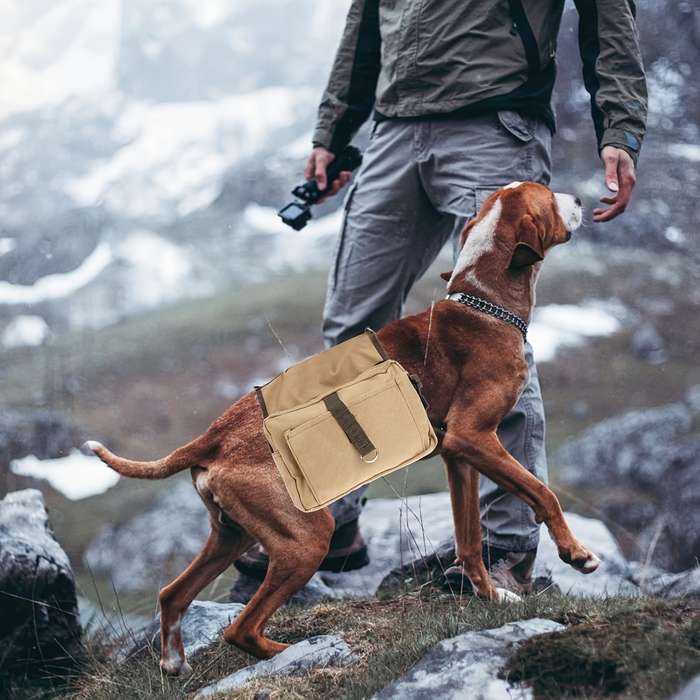 1pc One size Pet Bag