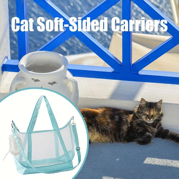 1pc Mint Blue Pet Bag