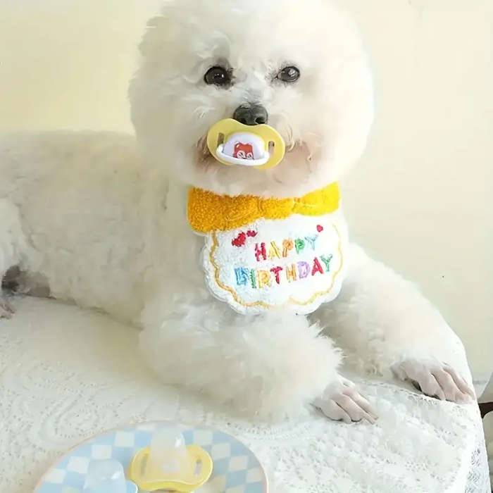 Dog Chew Toys
