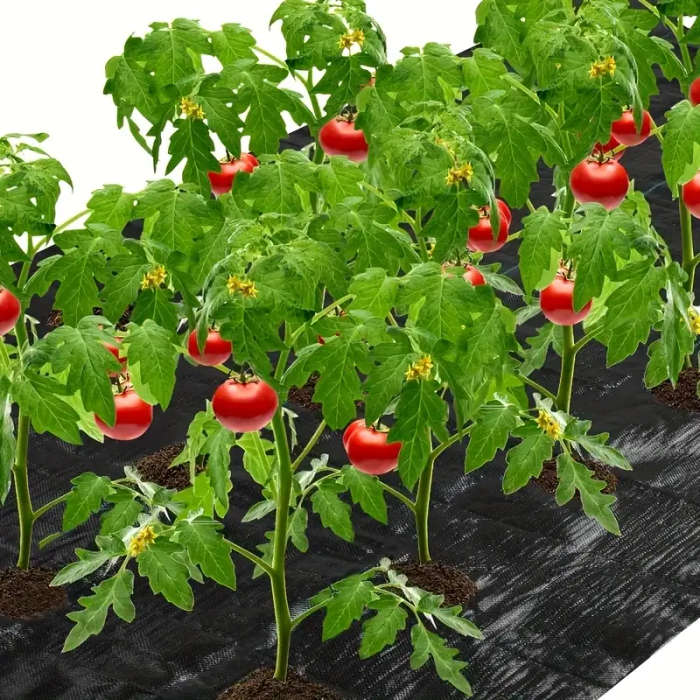 Garden Breathable Perforated Weed Control Cloth