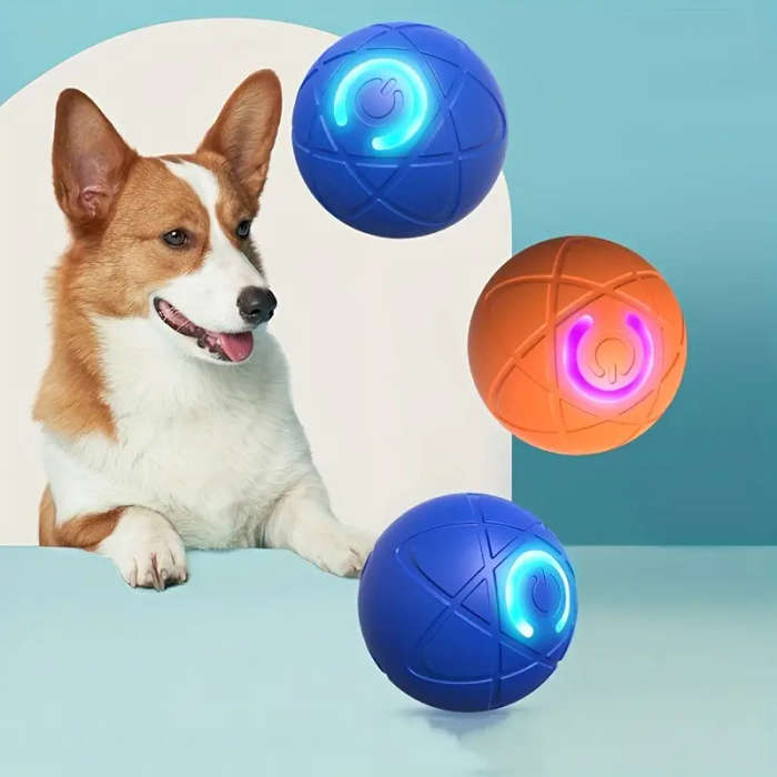 Dog Toys