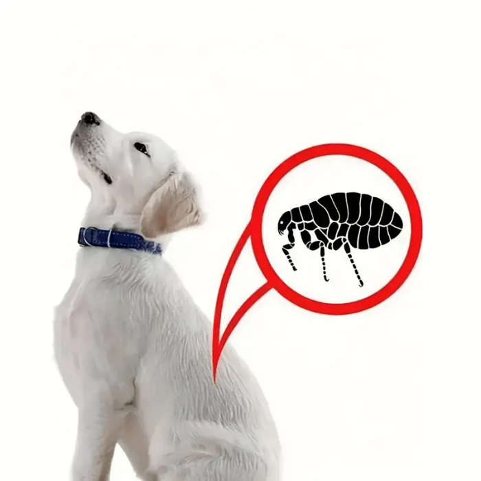 Pet Comb