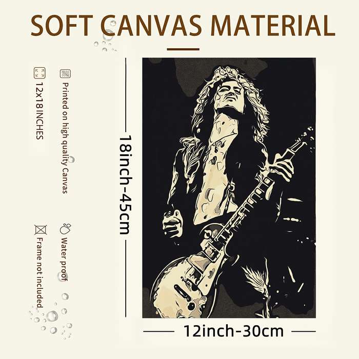 1pc  Jimmy Page Pop Art Canvas Print Frameless 30.48x45.72 cm HD Wall Art Black White Guita