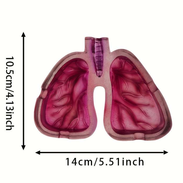 1pc Artistic Resin Ashtray with Lung Design Creative Home Office Decor Gift Unique Smoking