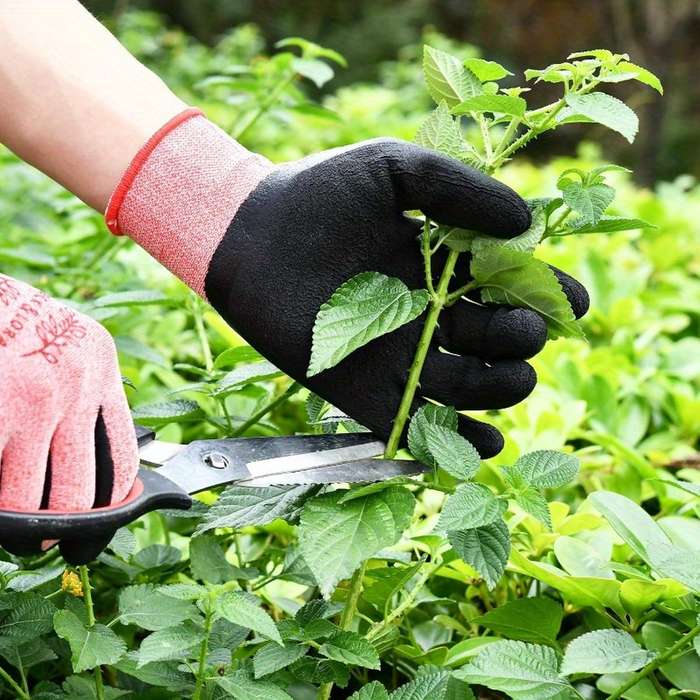 2 Pairs Green And Purple Household Cleaning Gloves