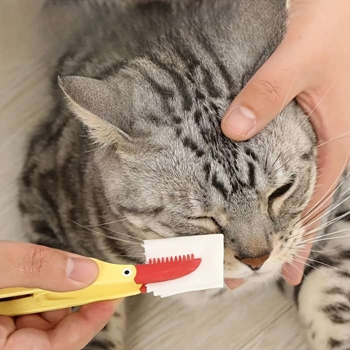 1pc Pink Pet Comb