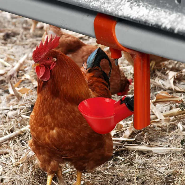Automatic Poultry Drinker
