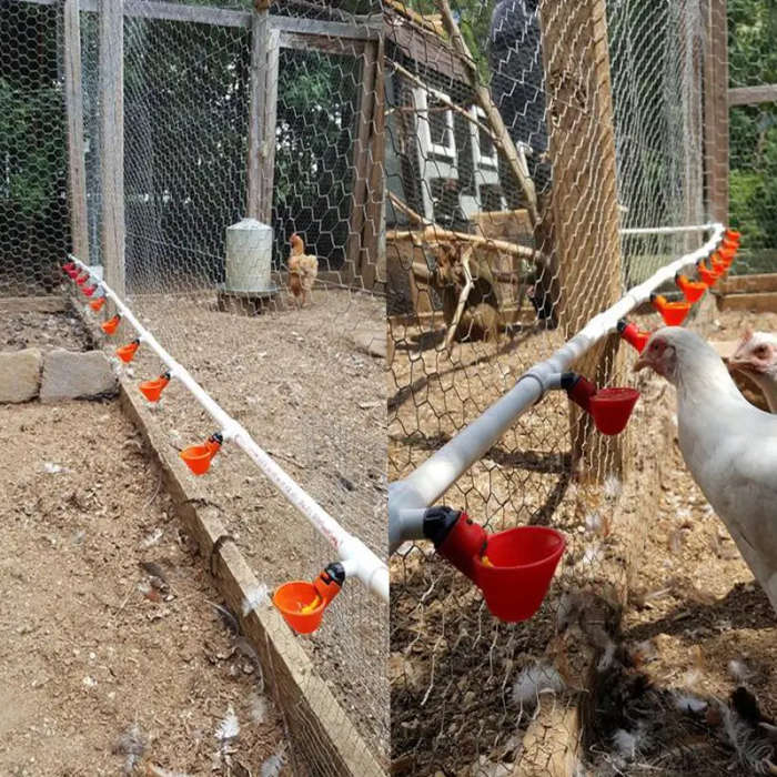 Automatic Poultry Drinker