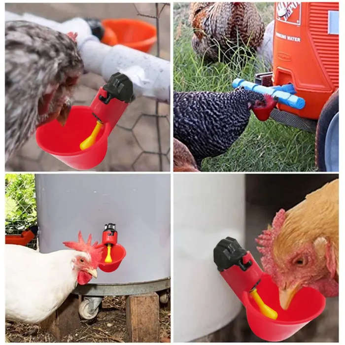 Automatic Poultry Drinker