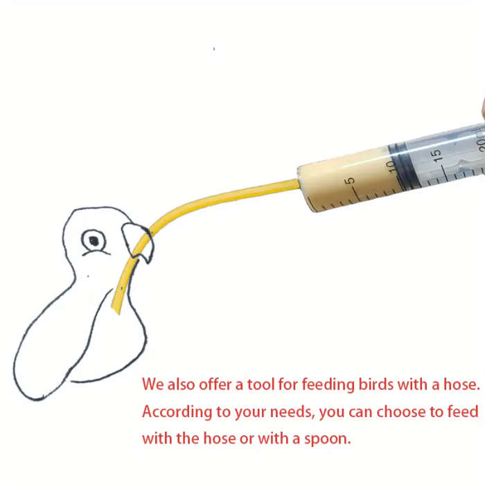 Small Bird Feeder