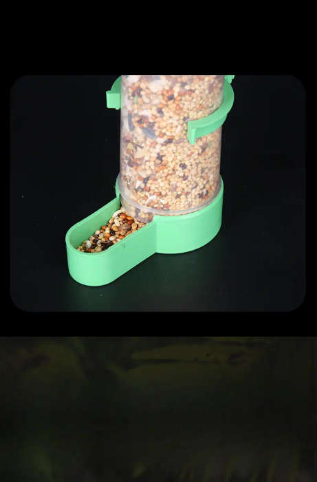 Small Bird Feeder
