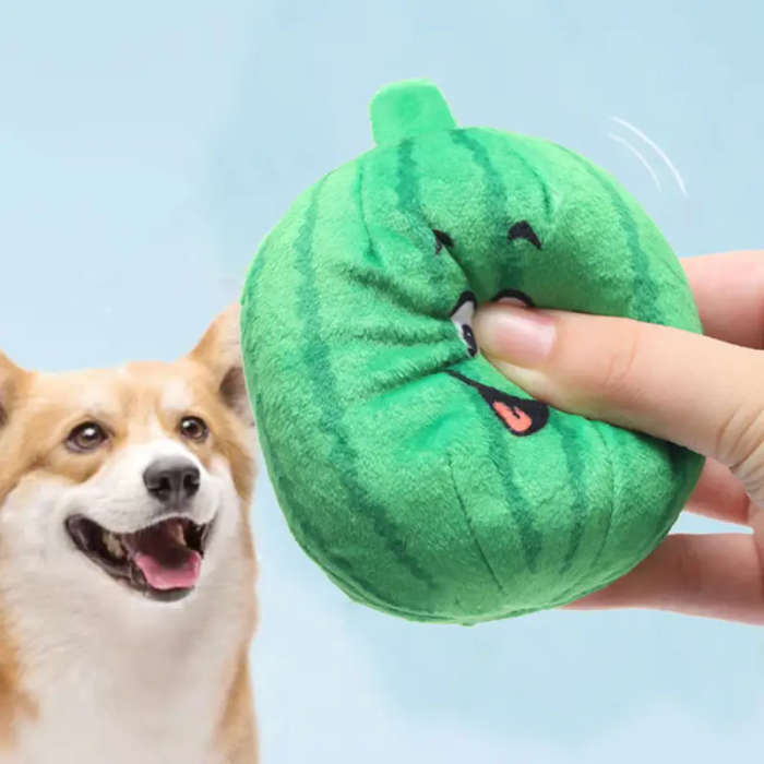 Dog Chew Toys