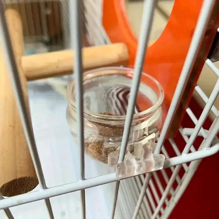 Small Bird Feeder