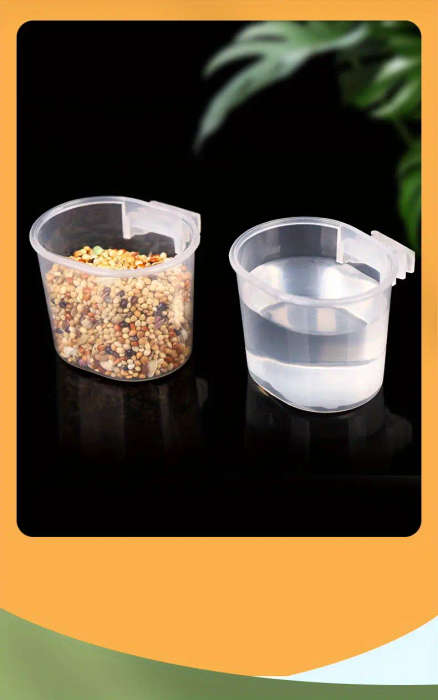 Bird Feeder