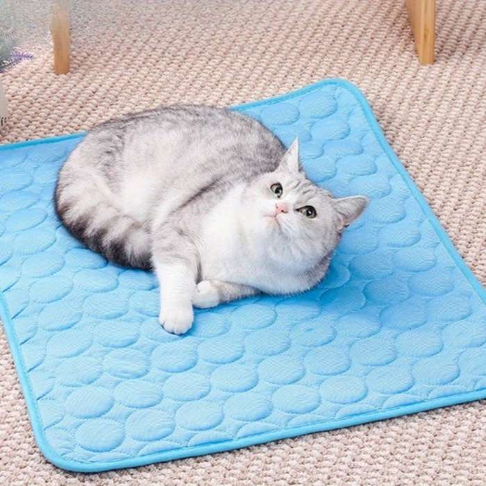1piece Blue Cooling Pad