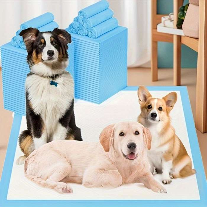 20Pcs Diaper Thickened Blue