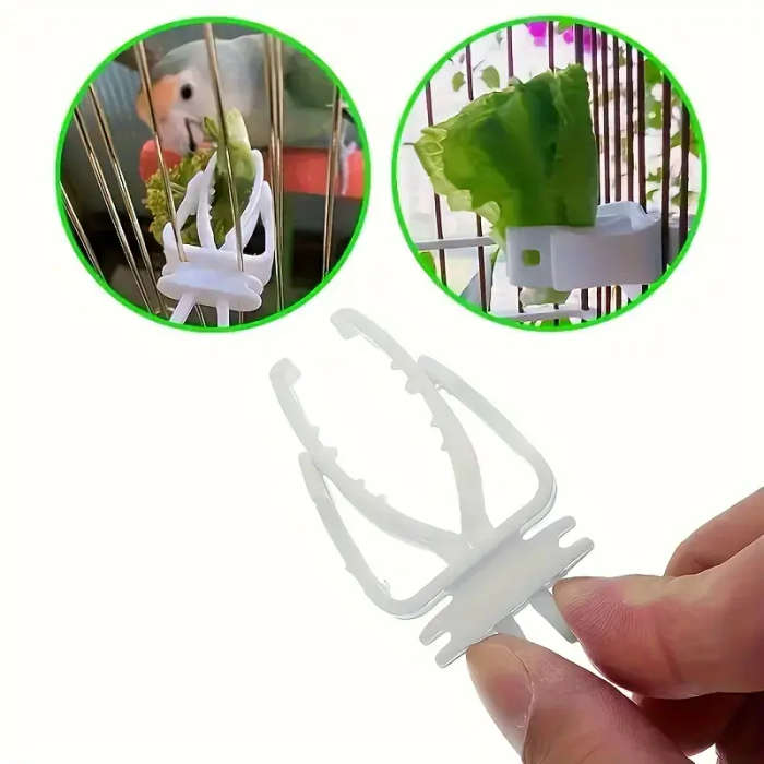 Small Bird Feeder