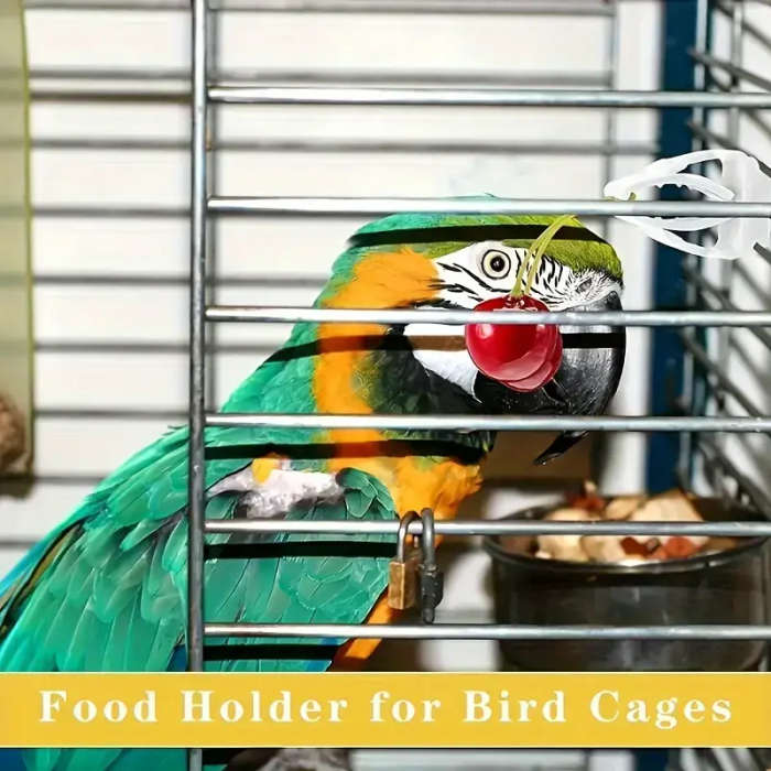 Small Bird Feeder