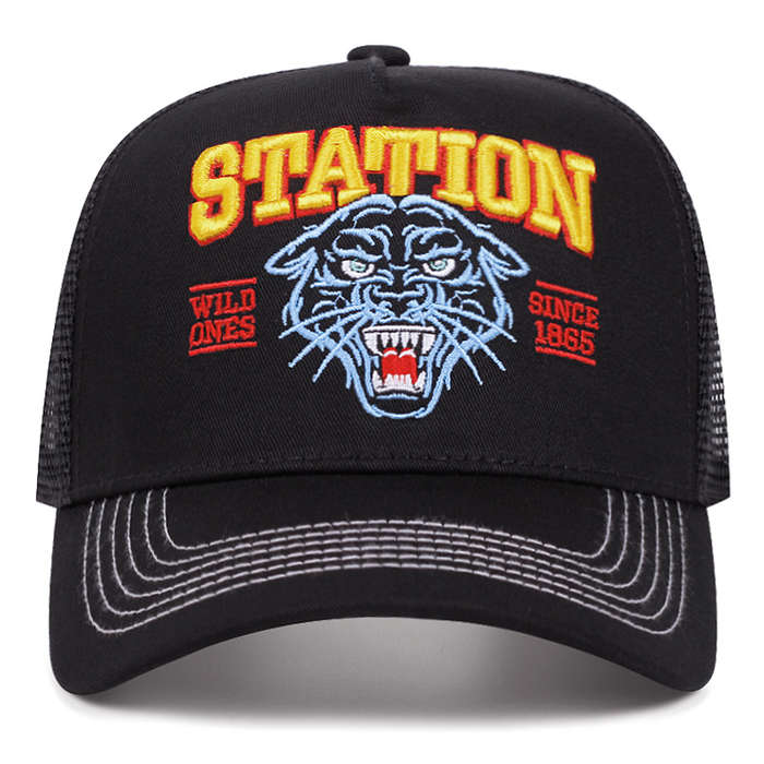 1pc Men's Spring Autumn Sun Protection Baseball Cap Outdoor Truck Driver Hat 100% Pol