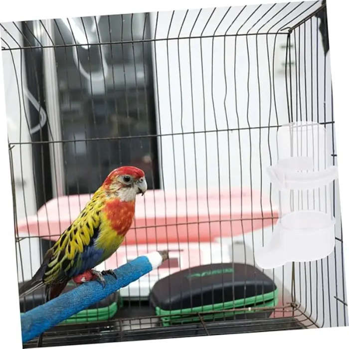 Small Bird Feeder