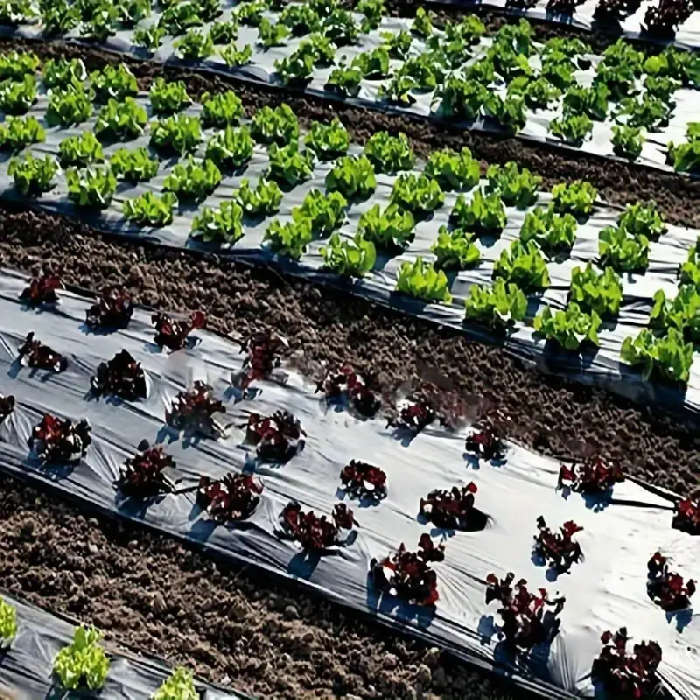 Garden Breathable Perforated Weed Control Cloth