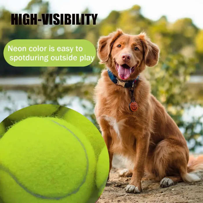 Dog Chew Toys