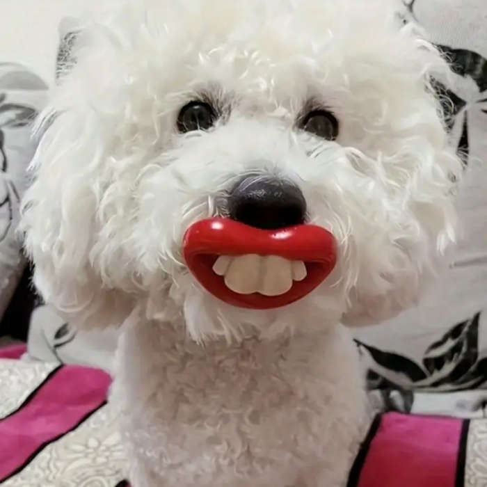 Dog Chew Toys