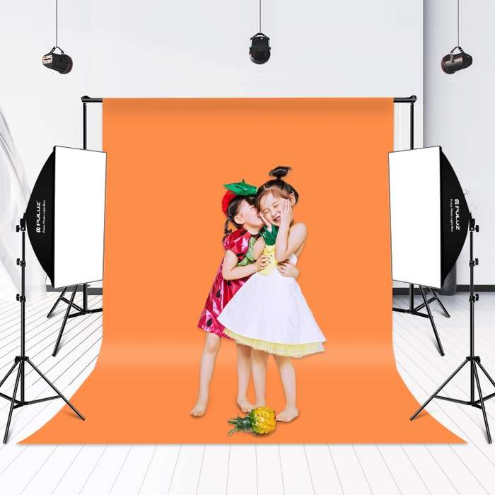 PULUZ Softbox Lighting Kit 2 PCS 50x70cm Professional Photo Studio Photography Light Equipment with