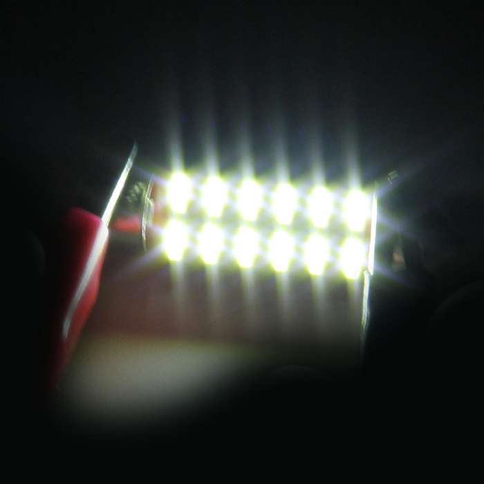 2 PCS DC 12V 2W 31MM 4014 Bicuspid Port No Decoding Car Dome Lamp LED Reading Light with 10 LED