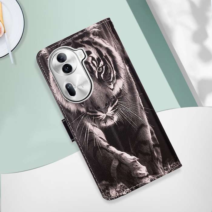 For OPPO Reno11 Pro 5G Global Colored Drawing Pattern Plain Weave Leather Phone Case(Black And
