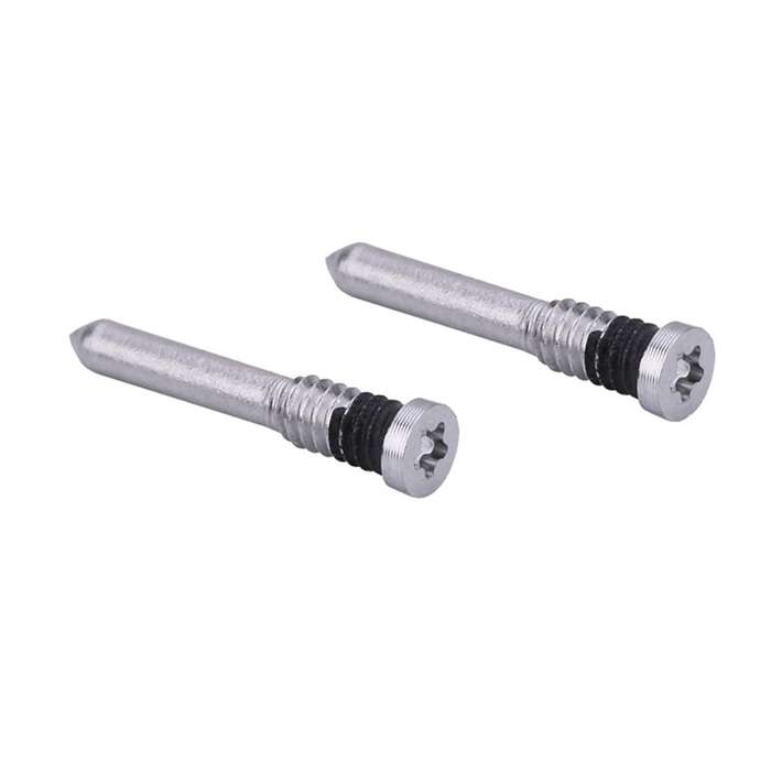 100 PCS Charging Port Screws for iPhone 12 Pro(Silver)