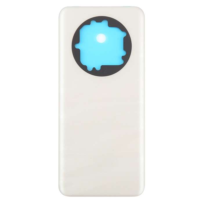 For Realme 13 Pro+ Back Cover(Gold)